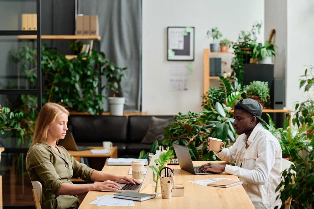 Nômade digital na Indonésia - Coworking